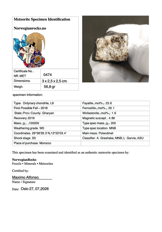 Hammadah al Hamra 346 (HaH 346) – Fresh Ordinary Chondrite (L6) Meteorite from Libya 56,8 gr