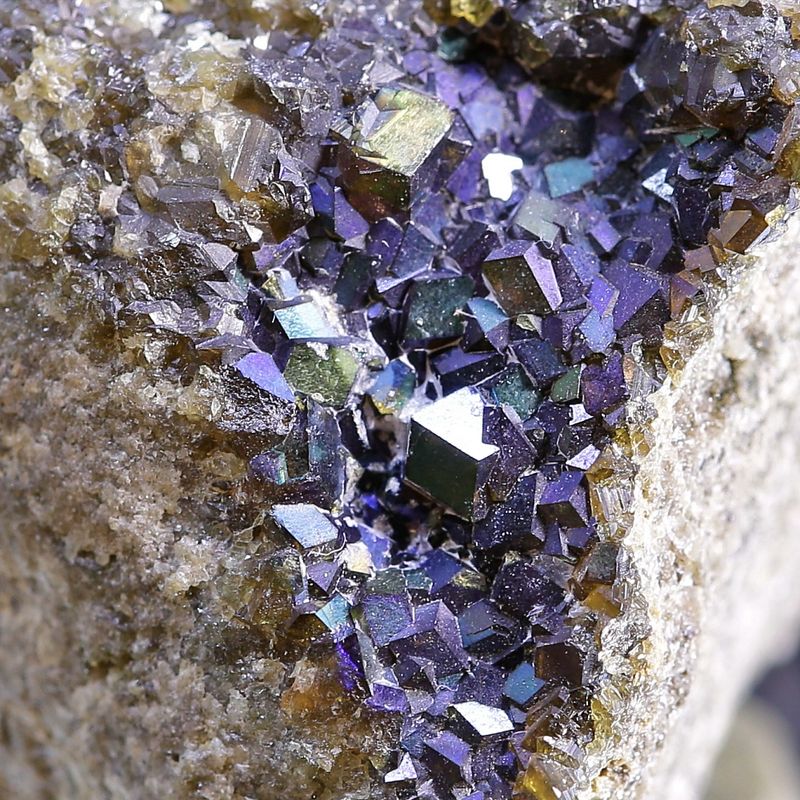 Iridescent Andradite Garnets – “Northern Ligths” Cluster (Landfalltjern, Drammen)